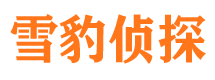 平塘侦探公司